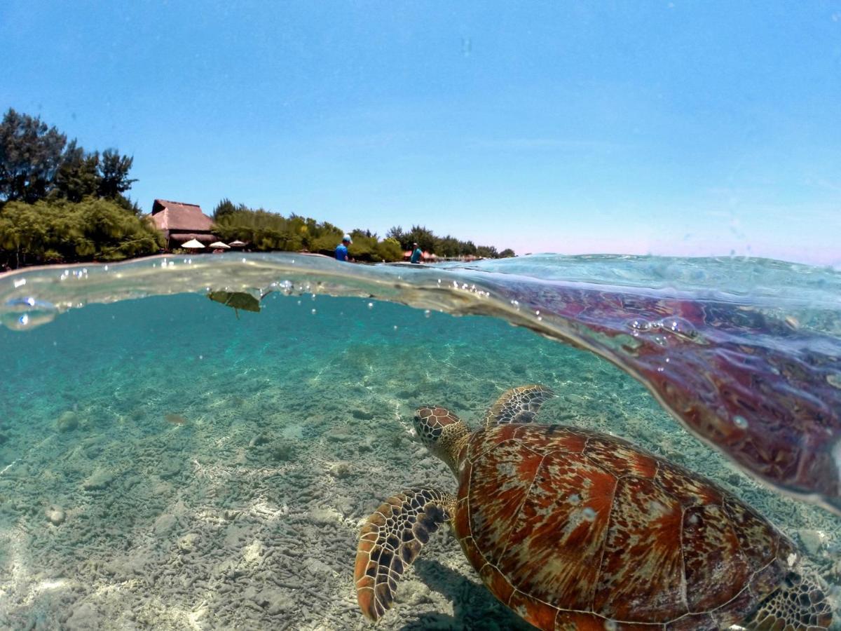 Mimpi Bungalow غيلي مينو المظهر الخارجي الصورة